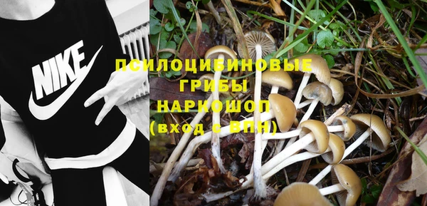 jwh Бородино